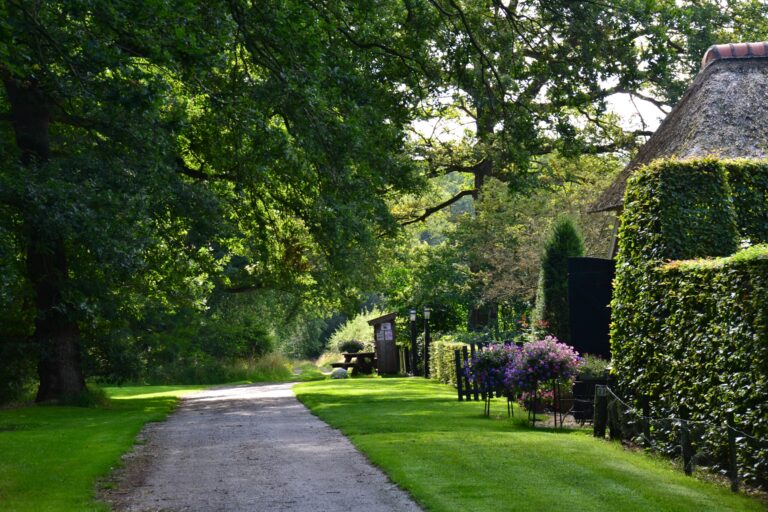 weg naar erve dalewijk